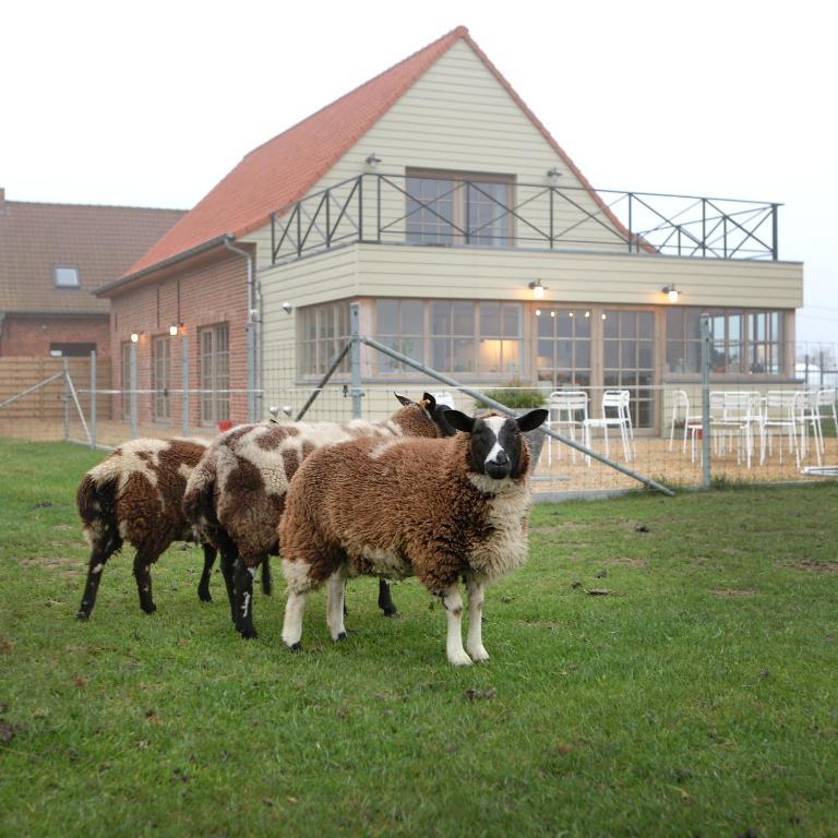 B&B Back2Front Boezinge Eksteriør billede
